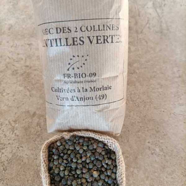 lentilles vertes 2.6 500g